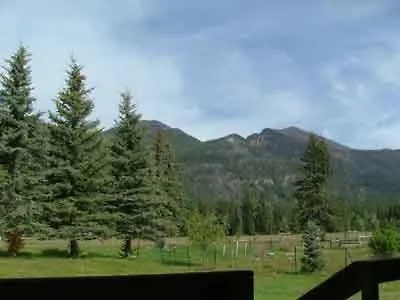 Bear Paw Lodge & Vacation Homes Vallecito Exterior photo