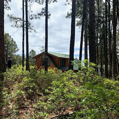 Bear Paw Lodge & Vacation Homes Vallecito Exterior photo