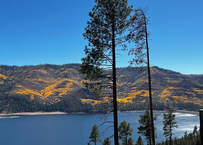 Bear Paw Lodge & Vacation Homes