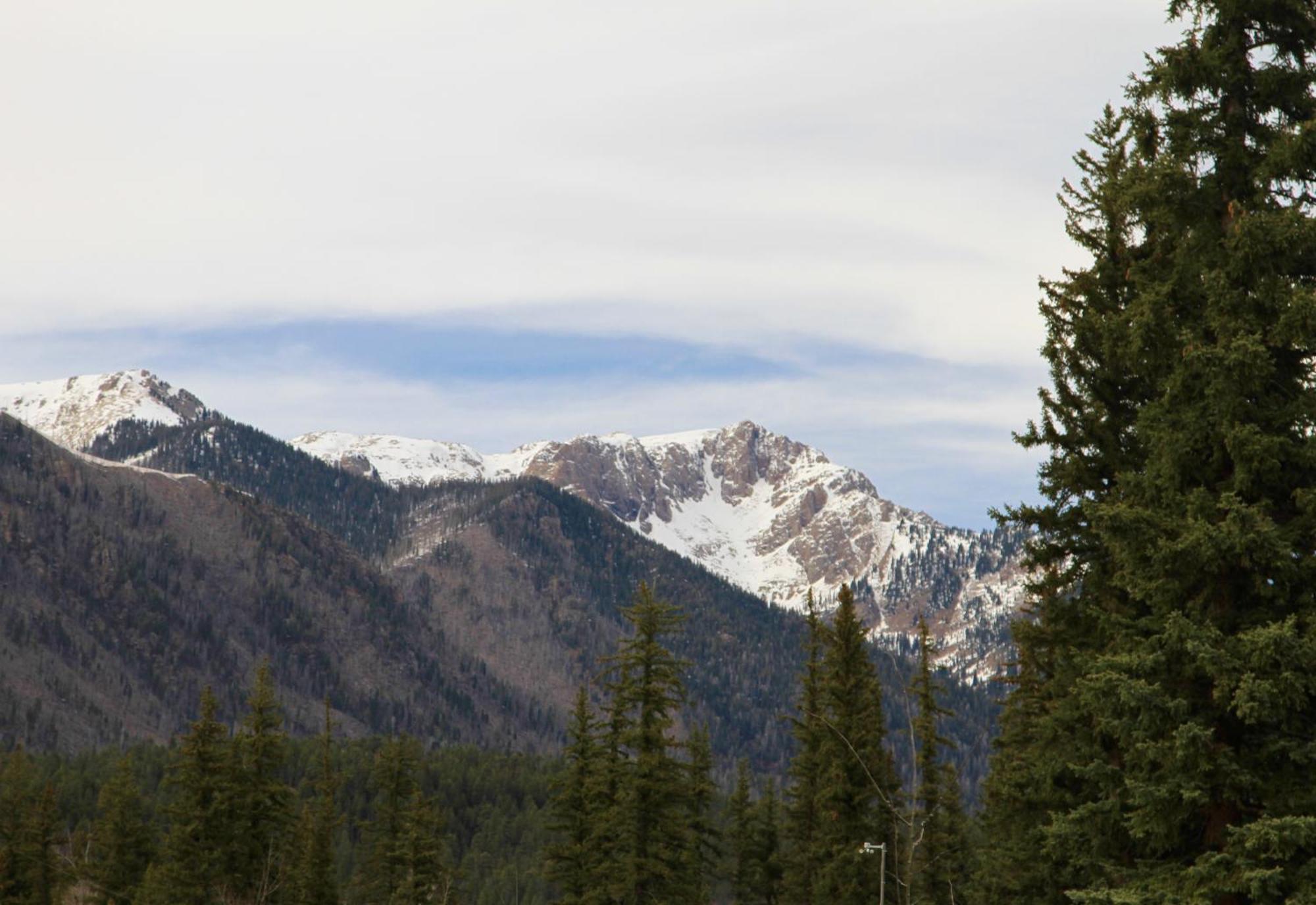 Bear Paw & Vallecito