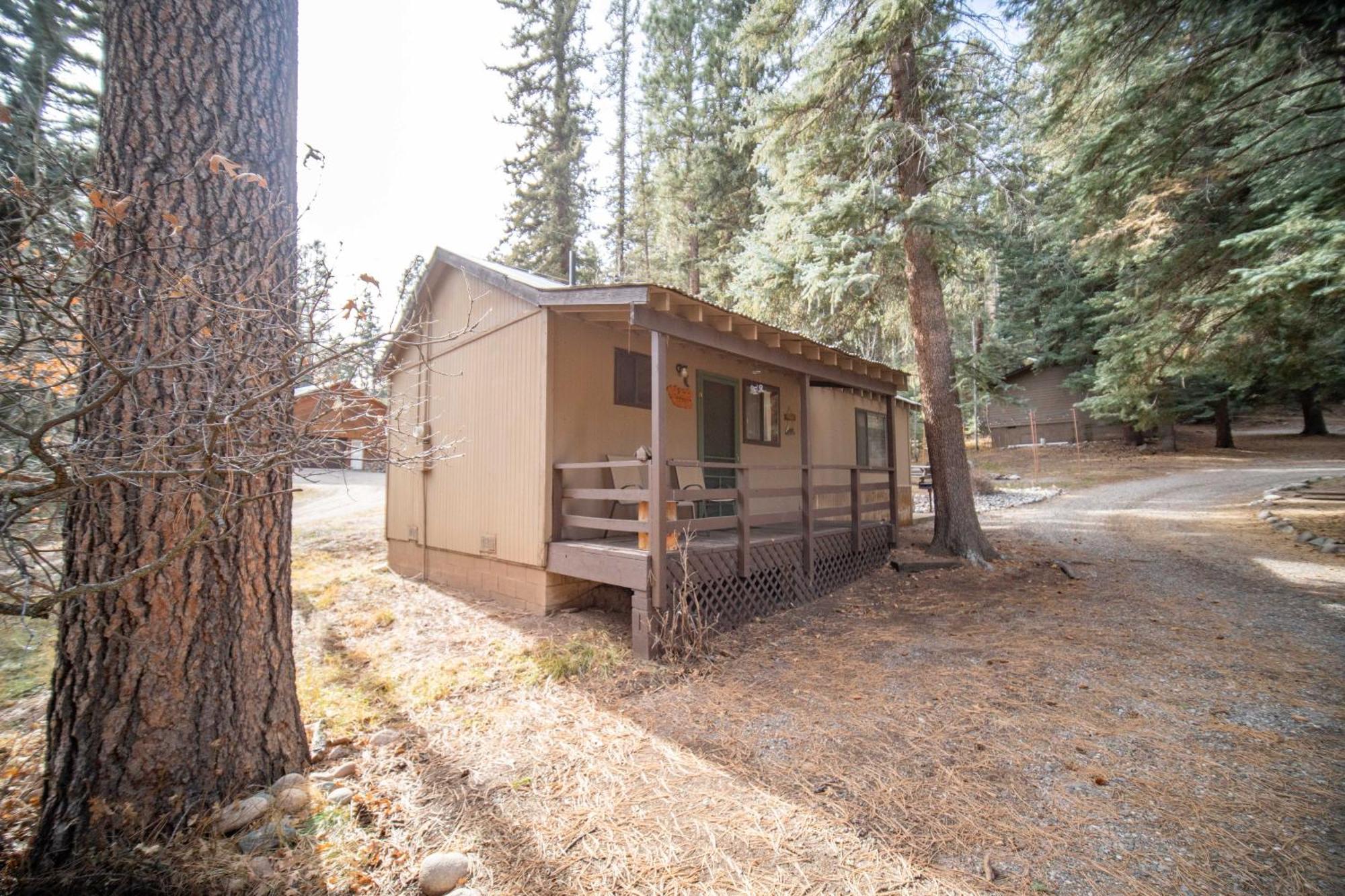 Bear Paw & Lodge