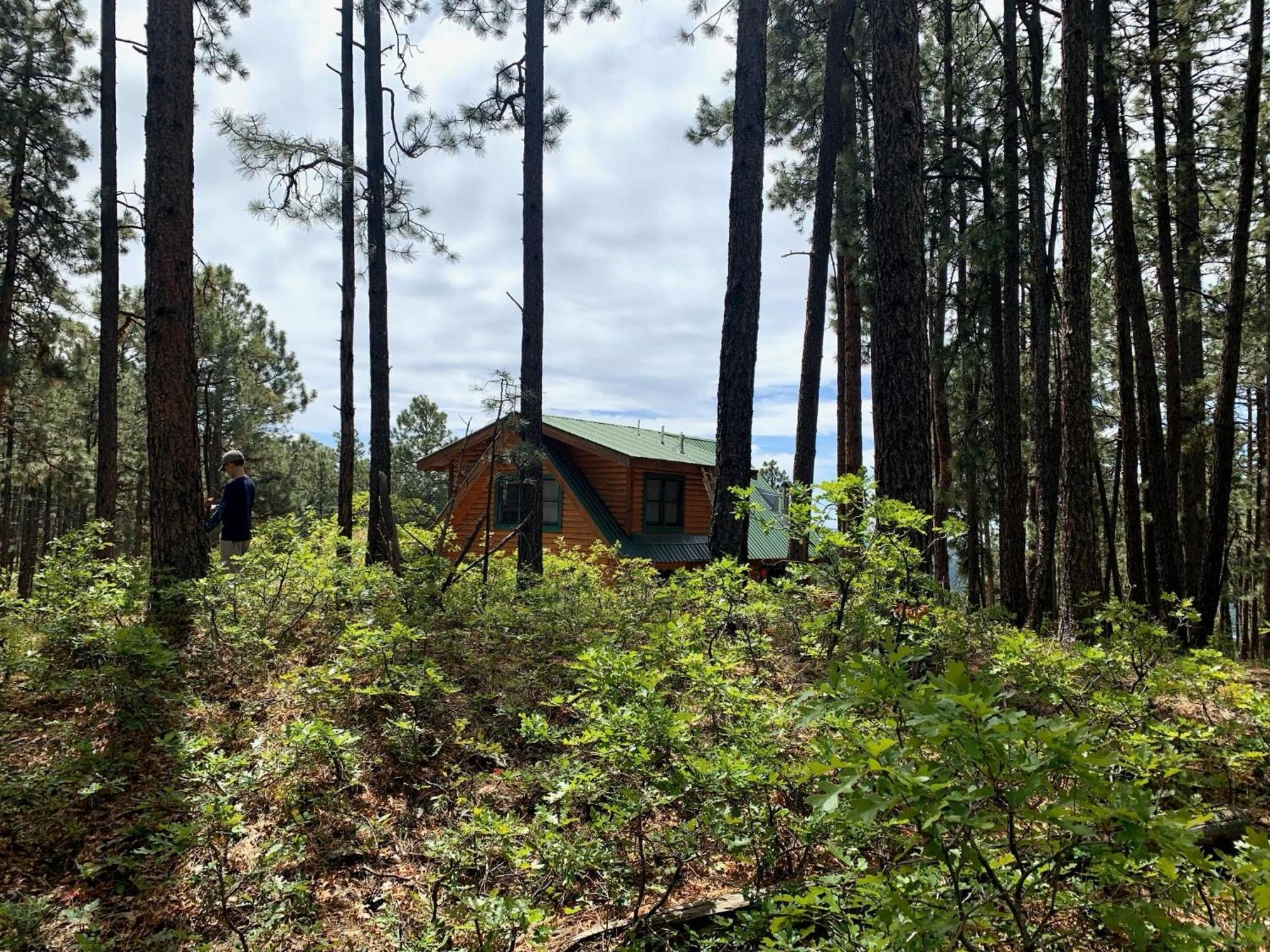 Bear Paw & Lodge